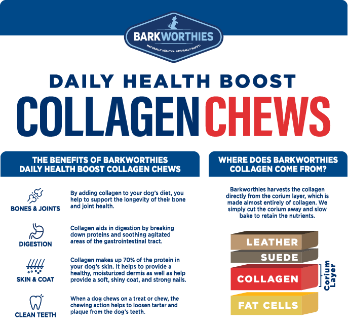 Daily Health Boost Collagen Benefits