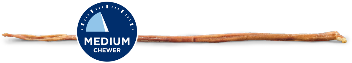 Cane Bully Stick